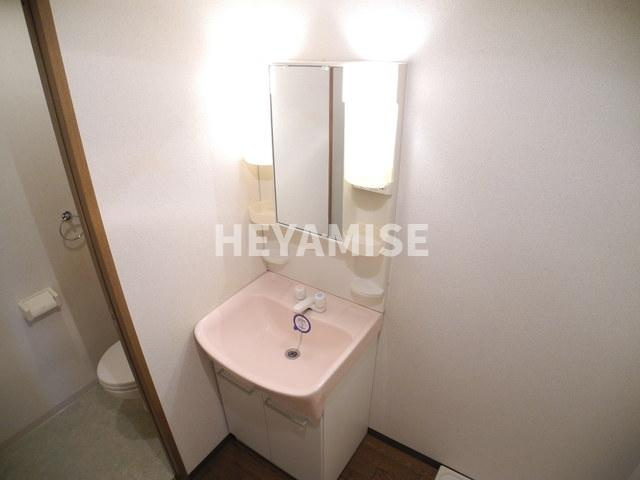 ANNEX31-Ⅵの洗面所|※同物件同室タイプの写真でございます※現況を優先します※