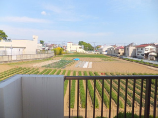 【展望】 | サンハーモナイズ