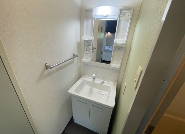 エクセル二村台の洗面所