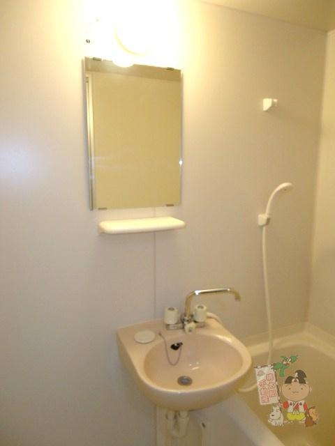 ドミールTOMOの洗面所