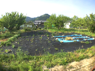 【外観】 | 谷川中古住宅