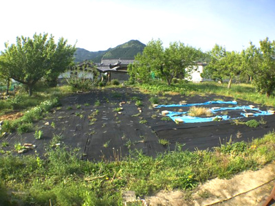 【外観】 | 谷川中古住宅