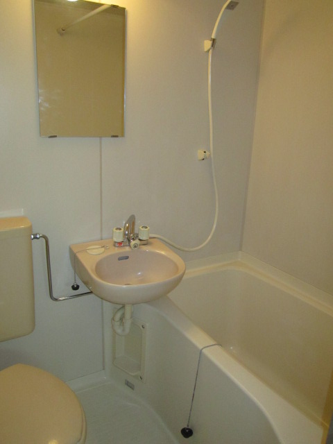 アルバトロス原の浴室