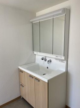 ハイツカメリアの洗面所