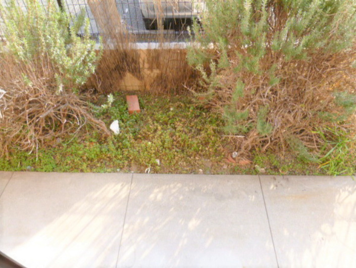 コーポ築揚の庭