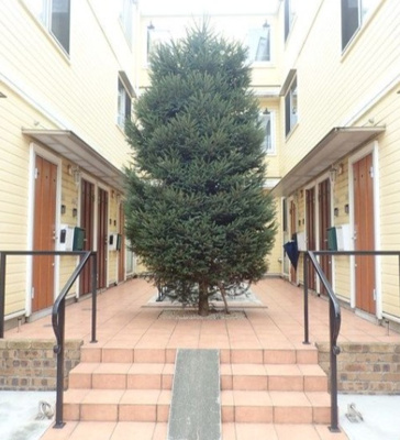 【エントランス】 | ミルクリーク桜台