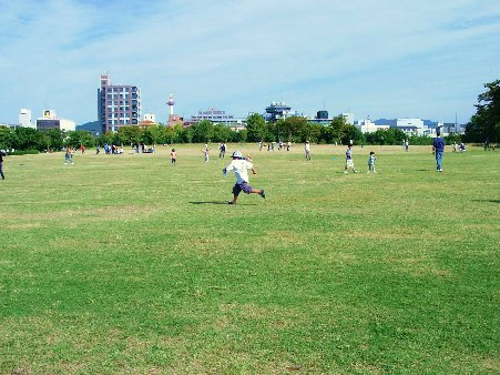 梅小路公園（501m）