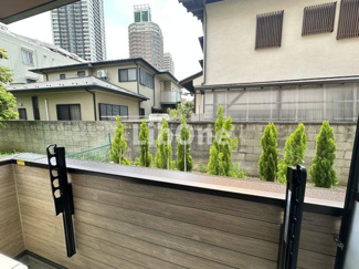 【展望】 | NESalla