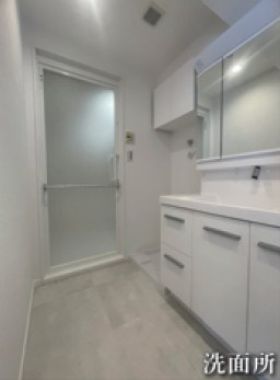 【洗面所】 | 【HP限定公開】吉祥寺オリンピックマンション