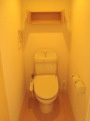 フィオーレツカサⅡのトイレ|落ち着いた色調のトイレです