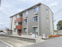 ワレアハレの画像