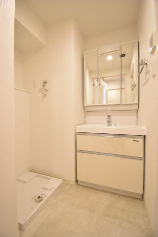 プレジオ帝塚山の洗面所