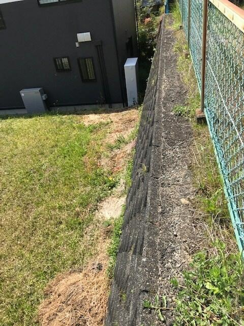 売地　新城市豊栄字大洞山1番240,1番241の外観|現地写真