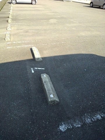 セント・フローラ　Ｂのその他