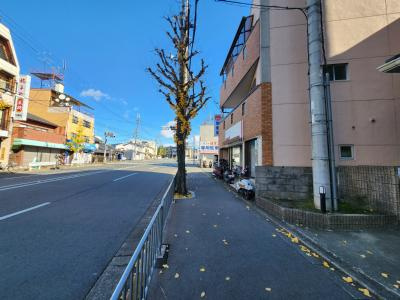 ガーレ花園の周辺|前面道路