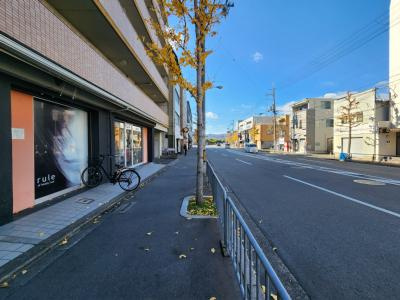 ガーレ花園の地図|前面道路