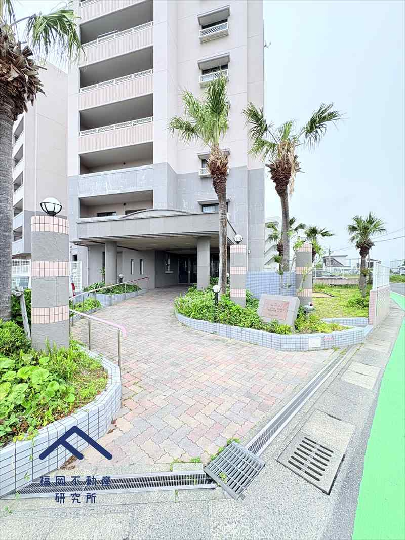 JGMシュリアン土井