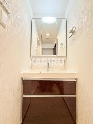 プレジオ永和ASIANの洗面所