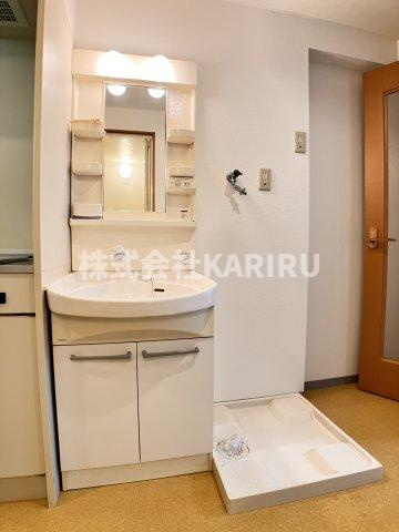 セリシール関目の洗面所