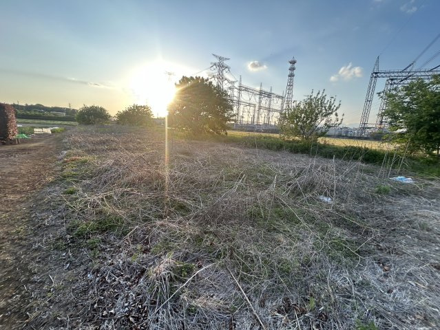 [農地]太田市新田市野井町2939（青地）の外観