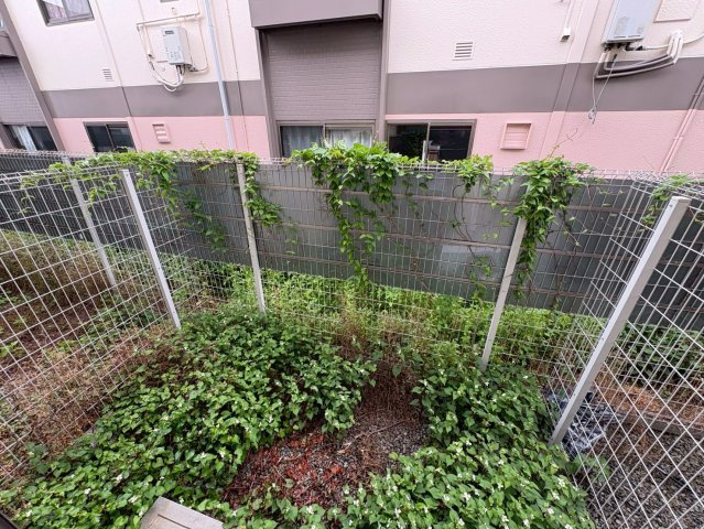 Alpha Stage APMの庭