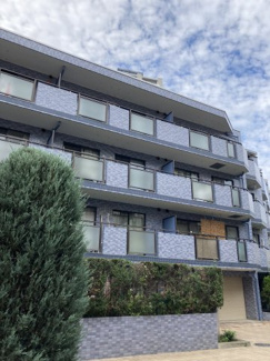  | セザール渋谷