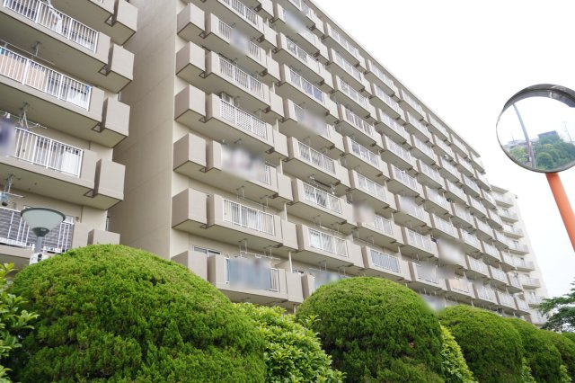 ダイアパレス草加Ⅱの外観