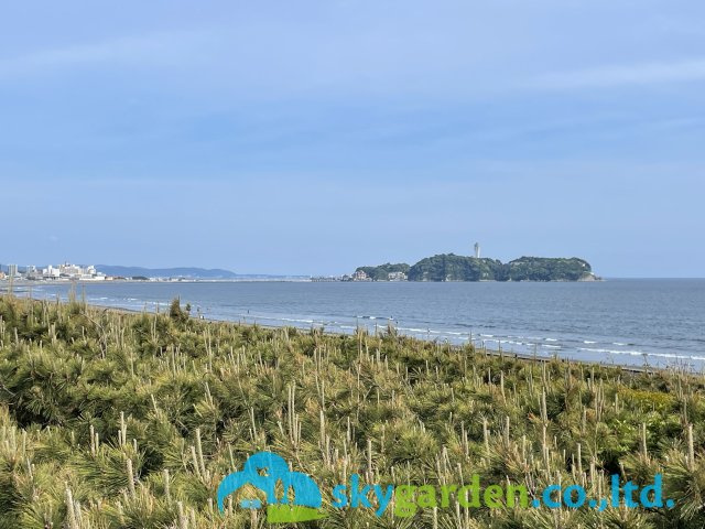 藤沢市鵠沼海岸2期　新築戸建　全3棟2号棟のその他|現地より約1170mの海岸風景（湘洋中学校前）