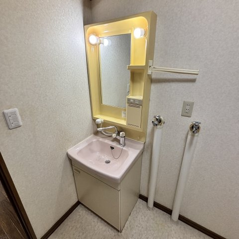 ハイツ蘭の洗面所