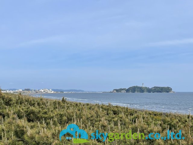 藤沢市鵠沼海岸2期　新築戸建　全3棟3号棟のその他|現地より約1200m付近の風景