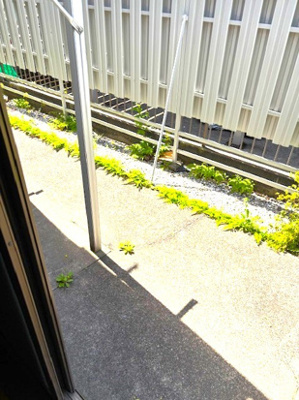 【展望】 | セゾン台ハイツ