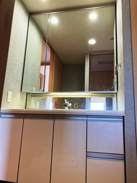 グリーンラグーナ甲子園Ａ棟の洗面所