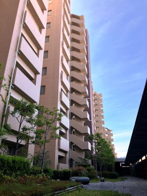 グリーンラグーナ甲子園Ａ棟の庭