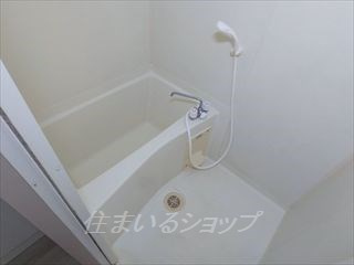 ヴェルドミールの浴室
