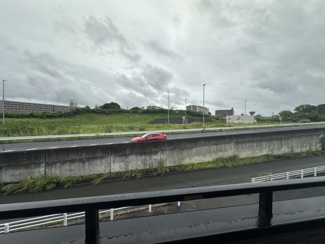 Habilationの展望