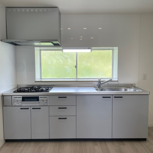 羽島郡岐南町薬師寺７丁目の一戸建てのキッチン