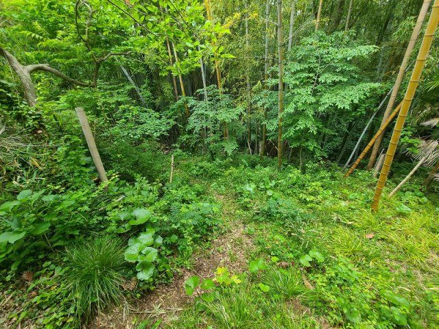 【その他】 | 西津田7丁目売土地 | その他現地写真です