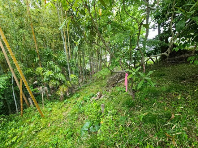 【その他】 | 西津田7丁目売土地 | その他現地写真です