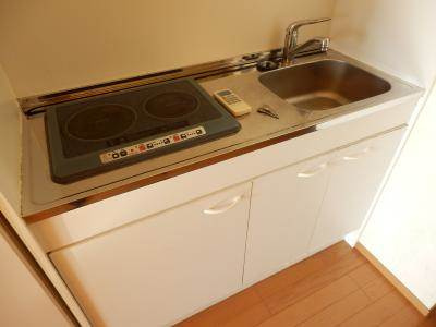 TIMUR九条（ティムール九条）のキッチン|２口ＩＨシステムキッチン