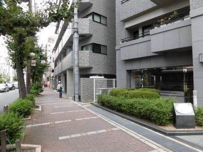 ベルヴィ高瀬川の周辺|前面道路
