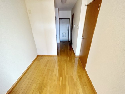 【その他】 | コモド