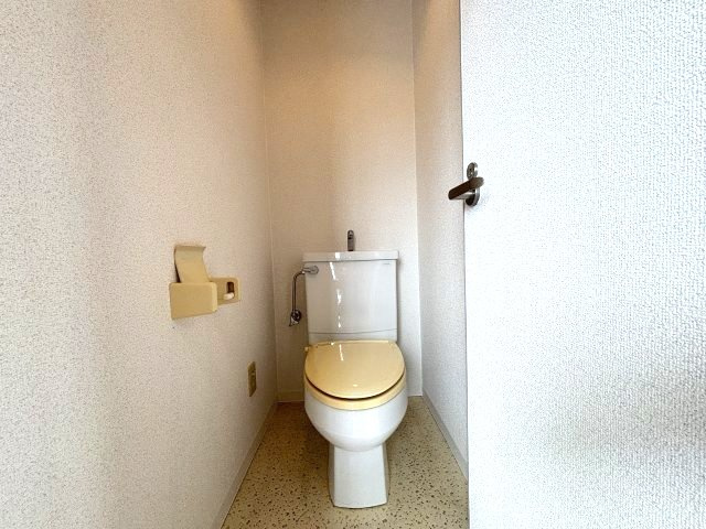 セブンフロアハイツのトイレ