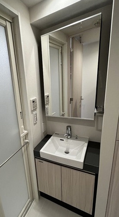 ブランシエスタ北品川の洗面所