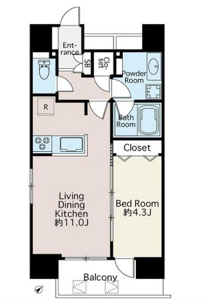 コスモグラシア根岸