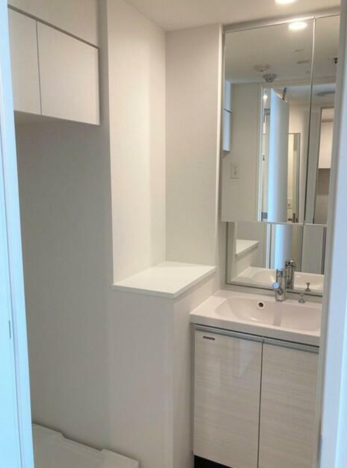 アーバネックス菊川Ⅲの洗面所