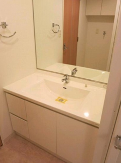 ドゥーエ銀座イーストIIの洗面所