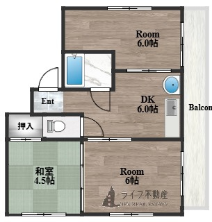 コスモス21