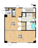 REGULUS KONAN YAMATEの画像