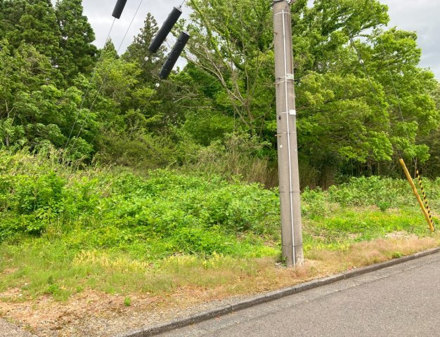 敦賀市野坂売土地の土地図