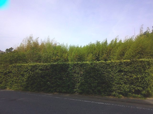 富津市千種新田の事業用地の外観